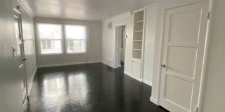 1645VIS 1645VIS Gallery 1