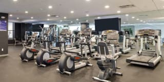 Violet on Virgil Violet on Virgil Gallery 13