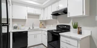 Monte Vista Gallery 12