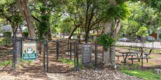 The Boulevard At Town Lake Gallery 18