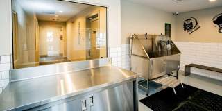 Bloom Apartment Homes Gallery 74