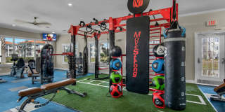 Terra Mar Gallery 30