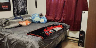 2 Bedroom 1 Bathroom Apartment Gallery 15