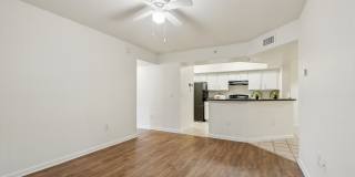 Lyme Stone Ranch Gallery 22