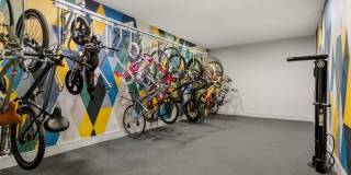 Alleia Presidio Gallery 19