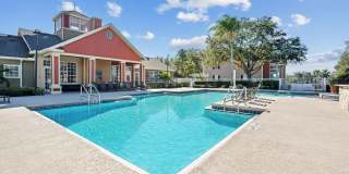 Vista Lake Ned Gallery 8