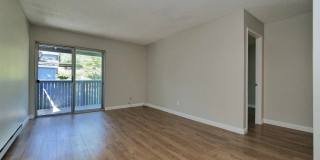 405 Piccadilly Pl Apt 24 Gallery 9