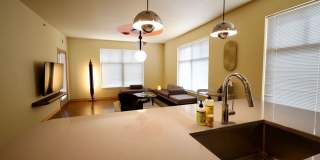 Settlement Place Gallery 456