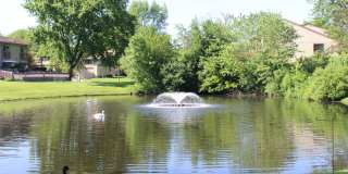 493 Shadow Lake Bay - 1 Gallery 13