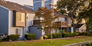 Lantern Cove Gallery 6