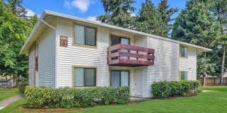 Foothills Gallery 20