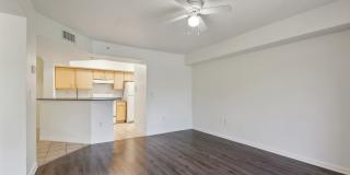 Lyme Stone Ranch Gallery 16