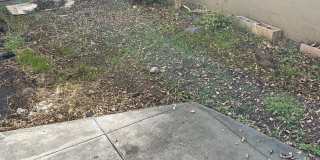 Bart Plaza Gallery 9