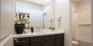 NEWLY CONSTRUCTED/ PVT YARD / NEAR OLD TOWN - SINGLE FAMILY Gallery 22