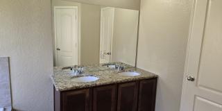 2738 Cinnamon Teal Gallery 12