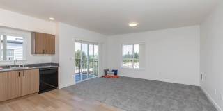 Pointe by Vintage Gallery 23