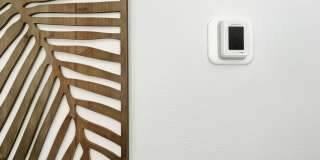 NOVO Avian Pointe Gallery 3