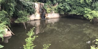 Goldelm at Cedar Bluff Gallery 14