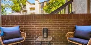 Sofi Belmar Gallery 14