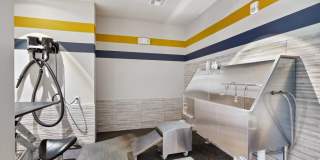 Reverie at River Hollow Gallery 10