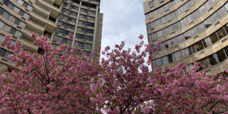 Hampton Plaza Gallery 1