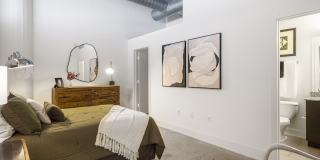 Plant 64 Gallery 8