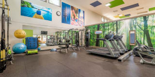 The Seasons Gallery 25