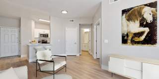 Monte Viejo Gallery 13