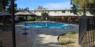 2nd Floor Condo Available Now - Great Location! Gallery 14