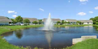 Cadia Myrtle Landing Gallery 45