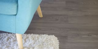 Broadleaf Boulevard Gallery 5