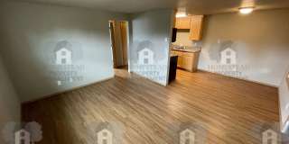 360 Gallery 3