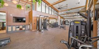 Harwood on Cave Creek Gallery 22