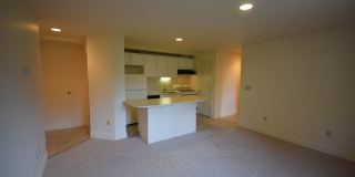 Graduate and Professional Gallery 42