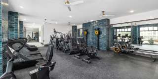 The Premier Gallery 2