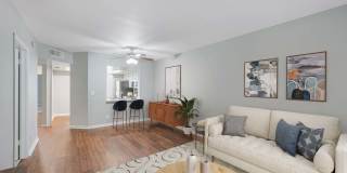 The Luxe at Boca Gallery 42