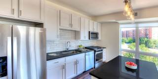 Ellison Apartments Gallery 2
