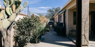1651 N Pima Court Gallery 34