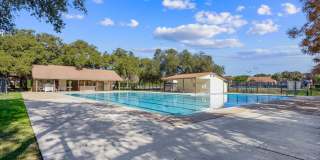 7051 Shadow Run Gallery 53