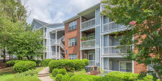 Avenue at Harbison Gallery 23