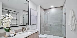 Aster & Links Gallery 98