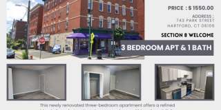 743 Park Street, Apt 4E Gallery 1