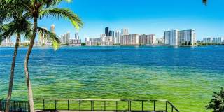 3916 Island Estates Dr Gallery 94