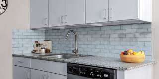 605 W Hutchison Gallery 16