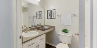 Southaven Pointe Gallery 12