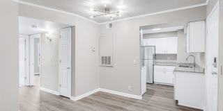 2325 Elliston Place Gallery 14