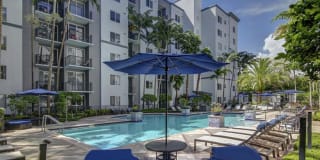 Solmar on Sixth Solmar on Sixth Gallery 3