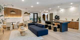 Evado Gallery 5