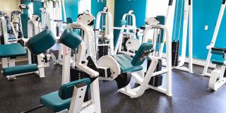 New Fountains Gallery 11