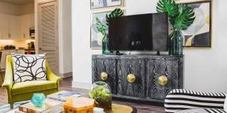 Alexan Buckhead Village Gallery 34